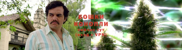 ALPHA-PVP Ельня