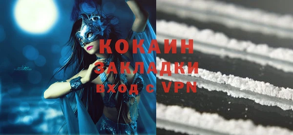 ГАЛЛЮЦИНОГЕННЫЕ ГРИБЫ Елизово