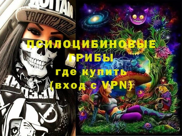 ГАЛЛЮЦИНОГЕННЫЕ ГРИБЫ Елизово