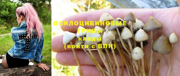 трава Елабуга